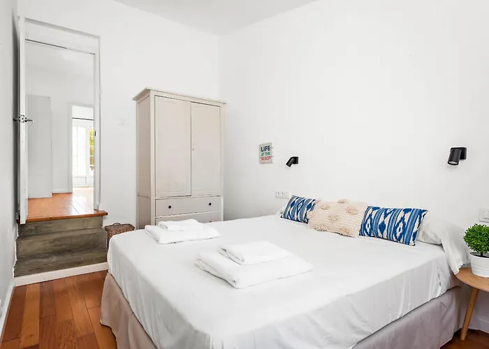 فيلة Hort D'es Milord - *